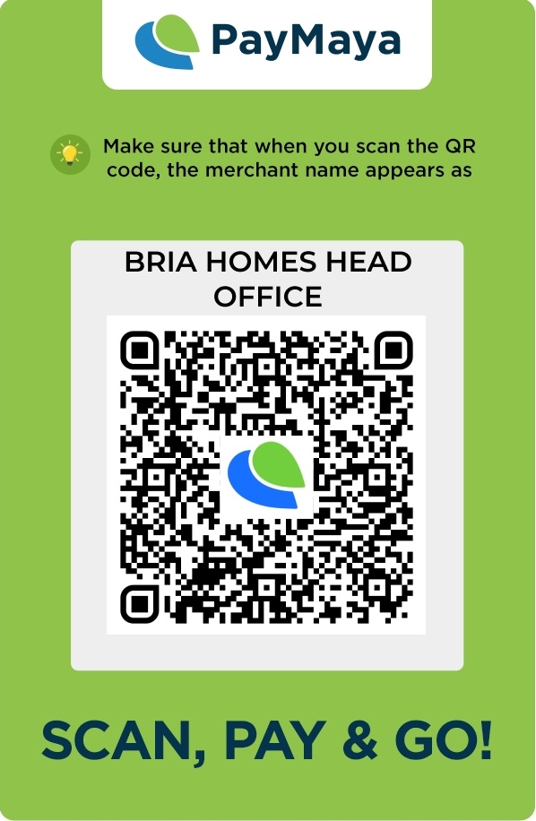 online payment